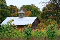 Autumn barn